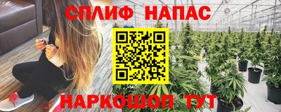 Альфа ПВП Белореченск